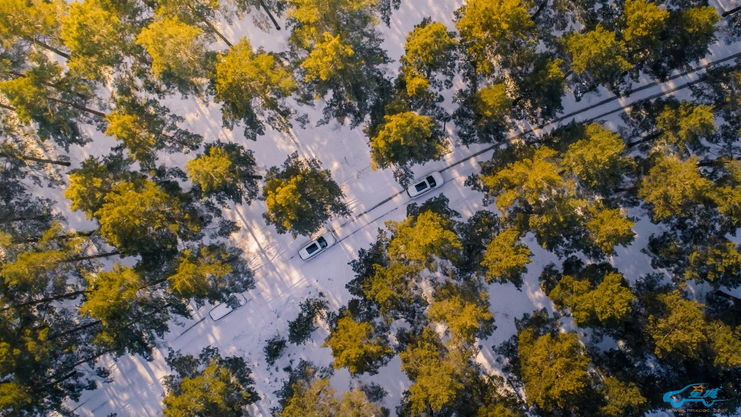 图片7.jpg