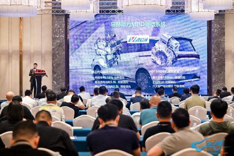 全品类布局,双技术路线,东风风行新能源品牌即将出炉!