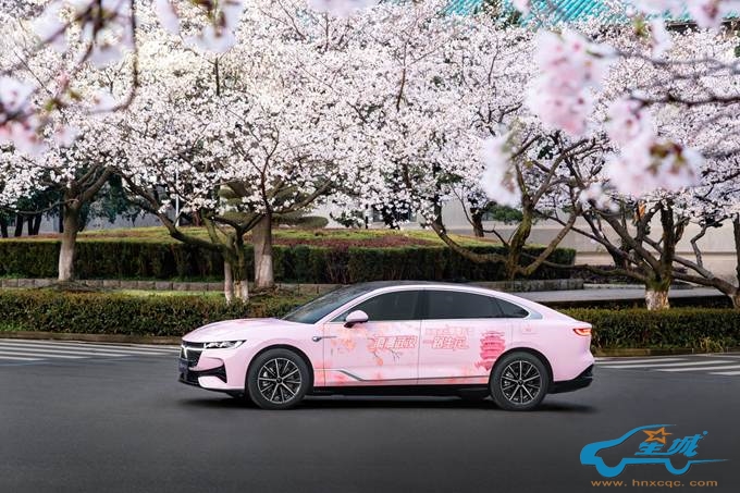 汽车停在路上  描述已自动生成