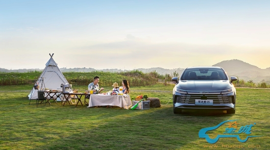 草地上的汽车描述已自动生成